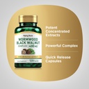 piping-rock-wormwood-black-walnut-capsul-4.jpg