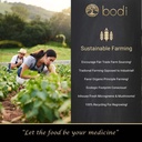 bodi-artichoke-leaf-powder-4oz-to-5lb-10-4.jpg