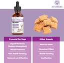 dog-prenatal-vitamins-prenatal-vitamins--4.jpg