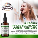 astragalus-tincture-organic-astragalus-e-2.jpg