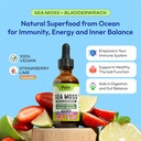 pella-nutrition-sea-moss-drops-with-blad-2.jpg