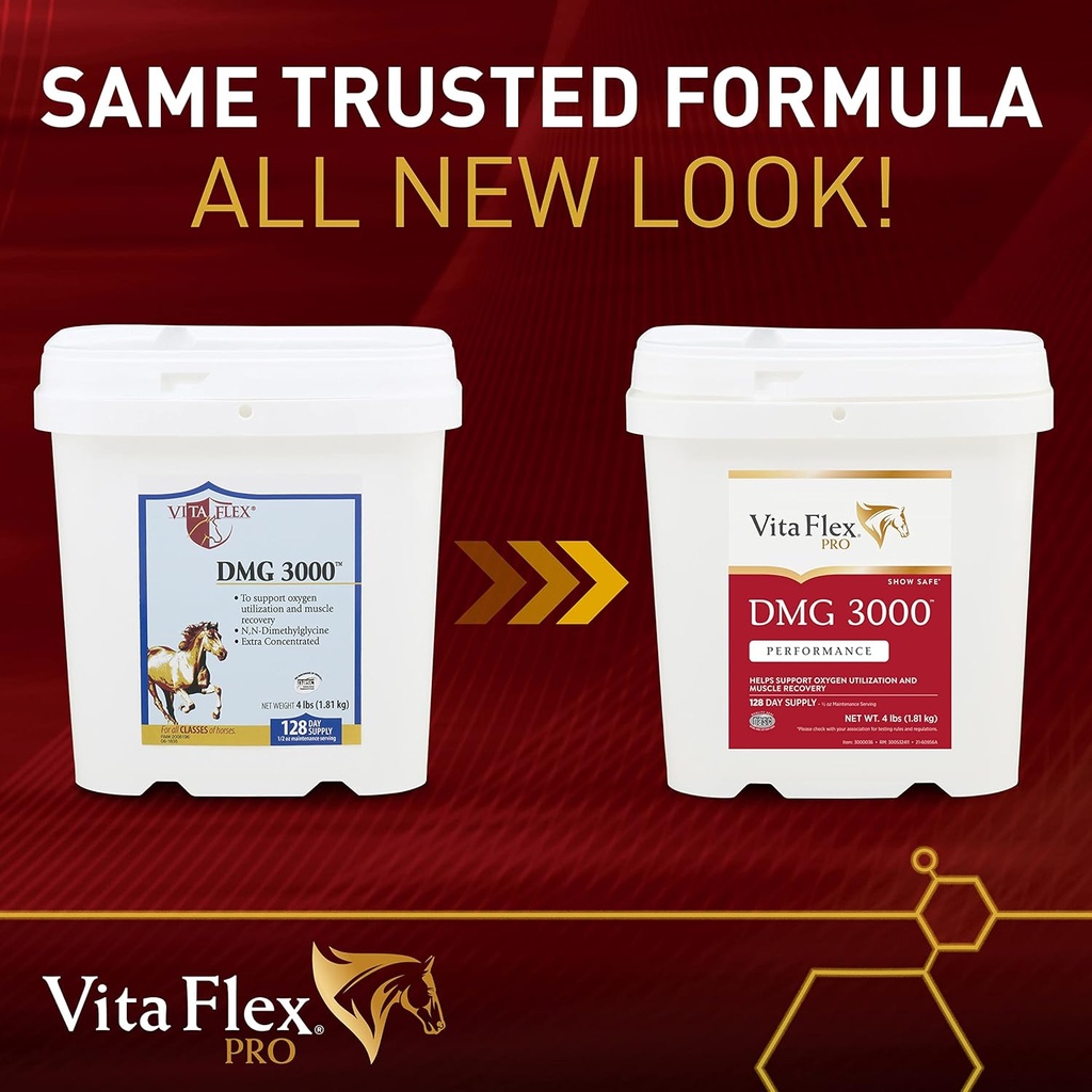 vita-flex-pro-dmg-3000-horse-dmg-concent-2.jpg