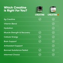 optimum-nutrition-micronized-creatine-mo-5.jpg