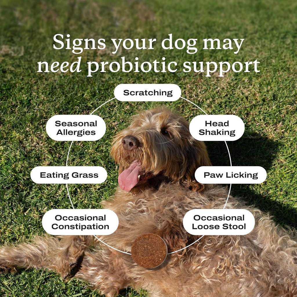 PetLab Co. – Multi-Vitamin & Dog Probiotic Bundle: Chewable Multivitamins for Dogs Support Health & Dog Probiotics to Support Itchy Skin, Occasional Loose Stools, and Healthy Yeast Production