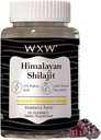 Trace Minerals Shilajit Gummies Blueberry Flavor Gummies shilajit Honey Sticks 600 MG 75% Fulvic Acid Lab Tested 60 Count