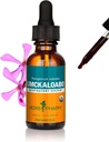 Herb Pharm Certified Organic Umckaloabo Liquid Extract for Respiratory System Support, 1 Fl Oz