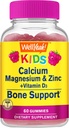 Kid's Calcium, Magnesium, Zinc + Vitamin D3 Gummies by WellYeah | Bone, Muscle and Nerve Health Support, Immune Support | for Men and Women | Gluten Free, Non GMO | Raspberry Flavor | 60 Count