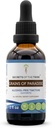 Grains of Paradise Tincture Alcohol-Free Liquid Extract, Grains of Paradise (Aframomum melegueta) Dried Seeds (2 FL OZ)