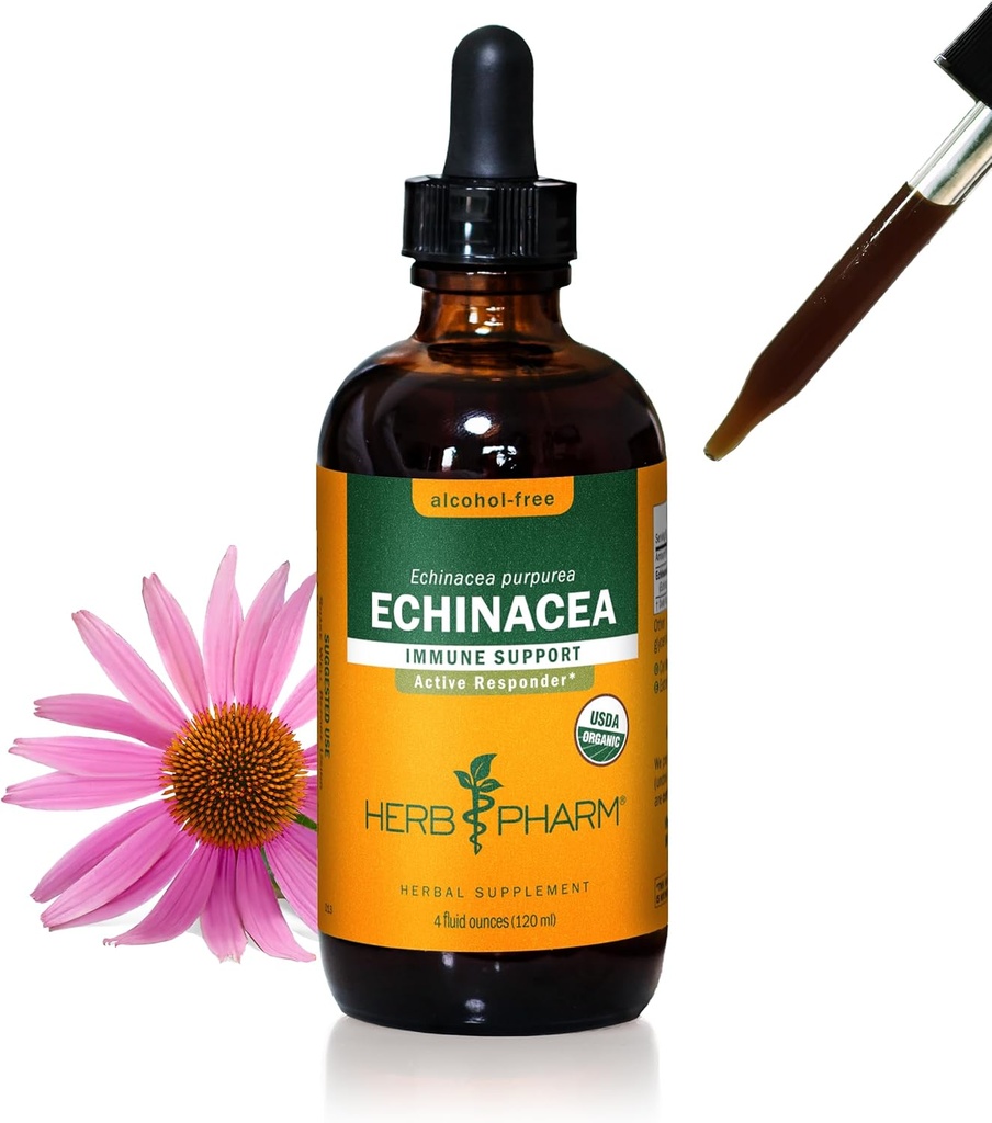 Herb Pharm Certified Organic Echinacea Root Liquid Extract for Immune System Support, Alcohol-Free Glycerite, 4 Ounce