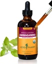 Herb Pharm Ashwagandha, Alcohol Free: Organic Liquid Extract | Traditional Stress Support Supplement, Vegan Ashwagandha Root Glycerite, Adaptogen Extract for Adults | Up to 12 Week Supply, 4 oz*