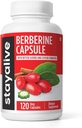 STAY ALIVE Premium Berberine with Ceylon Cinnamon, 3-in-1 Complex with Berberine HCL 1200mg & Bitter Gourd Extract, 120 Capsules, Extra Strength Powder, Non-GMO & Gluten-Free Supplement