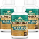 Spermidine Supplement 15 MG - 99% Purity, High Absorption, 1500 MG Fermented Wheat Germ Extract with Zinc & Thiamin, Spermidine for Men & Women - Cellular Renewal, Aging Defense, Energy, 180 Softgels