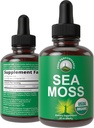 USDA Organic Sea Moss Liquid Drops Supplement. Vegan Irish Sea Moss Extract for Women and Men. Zero Sugar, Non Bitter. for Immune, Digestive, Respiratory Support. USDA Certified Organic