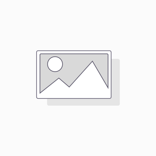 L Methyl Folate 15mg Plus Methyl B12 Cofactor – Organic, Berry Flavor, Professional Strength, Liquid Sublingual, Active 5-MTHF Form - Supports Mood, Homocysteine Methylation, Cognition (1oz -2 Pack)