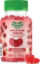 Apple Cider Vinegar Jelly Bean Gummies with The Mother and Ginger, Vegetarian Dietary Supplements for Men and Women, Digestive Health Support, 120 Apple Blast Jelly Beans, Kosher