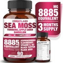 All-in-1 8885mg Highest Potency Sea Moss, Black Seed, Ashwagandha, Turmeric, Apple Cider Vinegar, Dandelion with Elderberry, Vitamin C & D3 - Immune, Energy Support Supplement - 90 Vegan Capsules