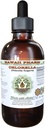 Chlorella Alcohol-Free Liquid Extract, Chlorella (Chlorella vulgaris) Entire Plant, Dried Glycerite Hawaii Pharm Natural Herbal Supplement 2 oz