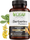 B’Leaf Nature Berberine Phytosome, 120 Capsules – 1100mg Berberine Supplement for Metabolic and Cardiovascular Support – Vegan, Gluten-Free, Non-GMO Berberine Phytosome Capsules for Immune Wellness