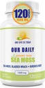 Our Daily Vites Organic Sea Moss 1500 MG 120 Ct Wildcrafted Irish Sea Moss Bladderwrack and Burdock Root Capsules Wildcrafted Vegan and Seamoss Superfood Supplement