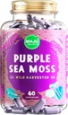 MAJU's Powerful Purple Sea Moss Capsules (60 ct), Extra-Strength Purple Minerals, Chondrus Crispus, Stronger Than Gel, Compare to Organic Irish Seamoss Capsule, Wild Harvested Powder Pills