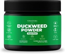 VINATURA Duckweed Powder - Duckweed Supplement, Superfood Digestive Health, Fiber-Superfood Powder of Wolffia Globosa