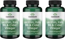 Swanson Lecithin Kelp B-6 & Cider Vinegar 240 Tabs (3 Pack)