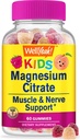 WellYeah Magnesium Citrate Gummies for Kids - Chewable Stress Relief Supplement for Children - Natural Calm, Mood Support, Non-GMO, Gluten Free - Natural Sourced Flavors - 60 Gummies