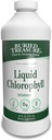 Buried Treasure Liquid Chlorophyll 100 mg, Dietary Supplement, Intestinal Digestive Support Natural Body Deodorant Vegan Non-GMO Alcohol Free, Spearmint Flavor 32oz