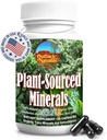 Fulvic Humic Mineral Blend of Plant-Sourced Trace Minerals, Electrolytes, Gut Health, Cognitive & Immune Support, Pure Vitality Formula for Strength - - 120 Capsules