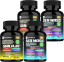 Sea Moss Black Seed Oil Ashwagandha Ginger Capsules,Supplement with Turmeric and Ginger Supplement Bladderwrack Burdock Root Organic,ACV Black Seed Oil - 240 Sea Moss Capsules
