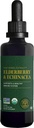 Global Healing USDA Organic Elderberry & Echinacea Liquid Supplement Tincture | Antioxidant Immune Support Against Harmful Organisms for Adults and Kids, Vegan, Non-GMO, 1-Month Supply (2 Oz)