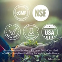 ML Naturals Phosphatidyl Serine 400 mg (High Dosage) 120 Vegetable Capsules. Supports Memory & Brain Function, Non-GMO, NSF-Certified & cGMP-Compliant