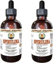 Spirulina Alcohol-Free Liquid Extract, Organic Spirulina (Arthrospira platensis) Dried Algae Glycerite Natural Herbal Supplement, Hawaii Pharm, USA 2x4 fl.oz