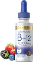 Carlyle Vitamin B12 Sublingual Liquid Drops | 10,000mcg | 2 fl oz | Vegetarian, Non-GMO, Gluten Free