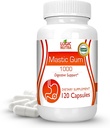 Premium Mastic Gum Capsules - Natural Gastrointestinal Support Supplement, 1000mg Per Serving - 120 Capsules (1 Bottle)