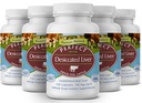 Perfect Supplements – Perfect Desiccated Liver – 120 Capsules – Undefatted Beef Liver – Natural Source of Protein, Iron, Vitamins A & B – 5 Pack